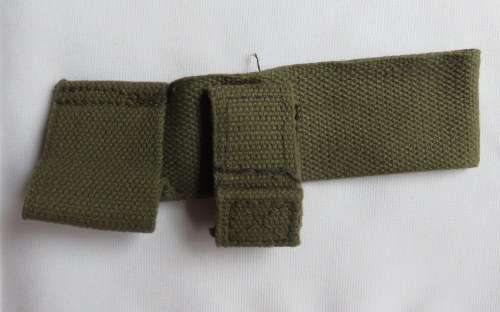 R1 WEBBING FROG