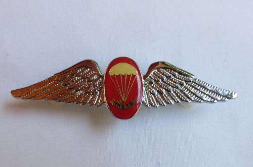 SA PARA FREEFALL INSTRUCTOR CHROME & ENAMEL FULL SIZE WING-WORN FROM THE 1970'S- 2 PINS