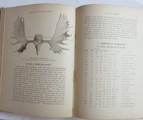 ROWLAND WARD'S-RECORDS OF BIG GAME-SEVENTH EDITION 1914-532 PAGES HARD COVER-SOME BROWNING OF PAGE-B