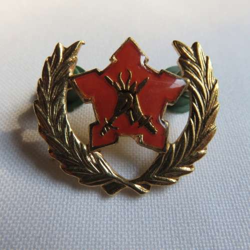 ARMY BREAST BADGE FOR CITIZEN FORCE-COMMANDO'S & VOLUNTEERS-5 YEARS SERVICE- 2 PINS