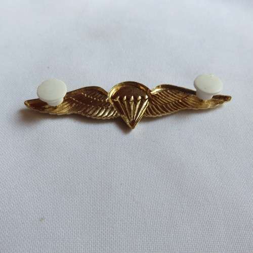 SA PARACHUTE BASIC PARATROOPER WING-GILDING METAL WITH ENAMEL CENTRE-LUCITE COVERED-2 PINS