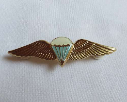 SA PARACHUTE BASIC PARATROOPER WING-GILDING METAL WITH ENAMEL CENTRE-LUCITE COVERED-2 PINS