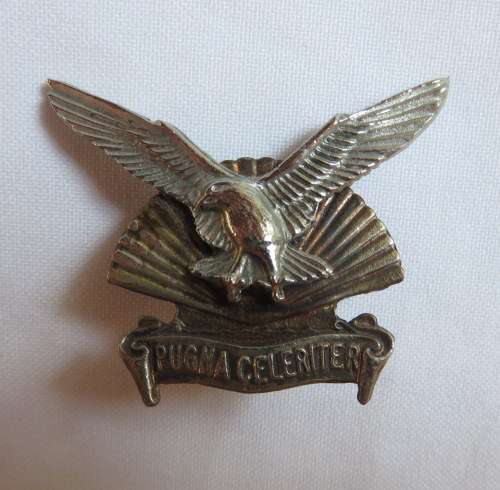 DURBAN REGIMENT,BI-METAL CAP BADGE-WORN POST 1966-2X SCREW LUGS