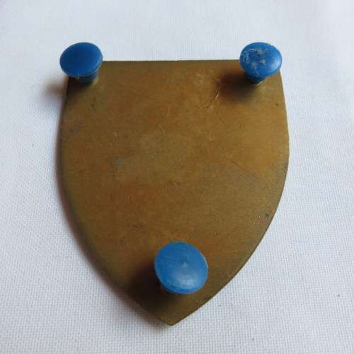 7 SA INFANTRY DIVISION FLASH- 3 PINS