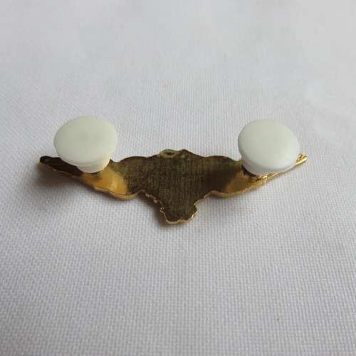 SAAF PILOT GOLD MESS DRESS BADGE(2000 HOURS FLYING TIME)1991-2003- 2 PINS