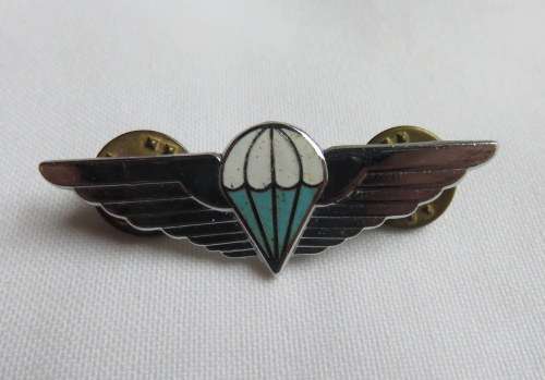 CISKEI PARA WING - 2 PINS