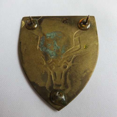 REGT. CHRISTIAAN BEYERS FLASH-BLACK EARS TYPE- 3 PINS