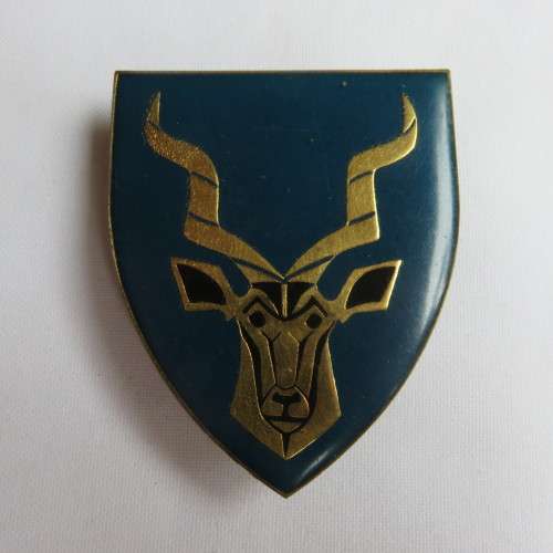 REGT. CHRISTIAAN BEYERS FLASH-BLACK EARS TYPE- 3 PINS