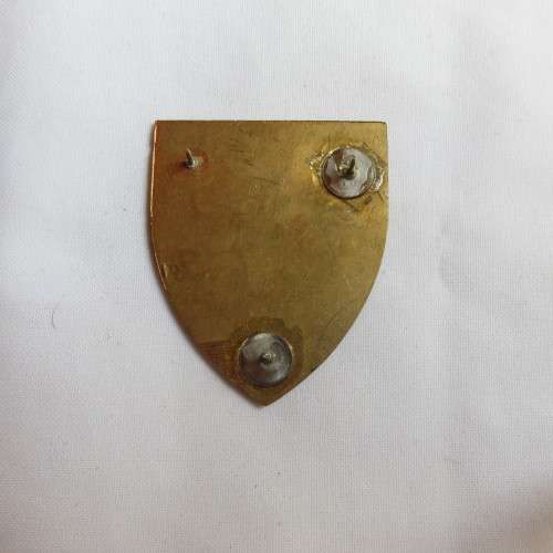 2 FIELD ENGINEER REGT. FLASH-GOLD TYPE-2ND ISSUE- 3PINS
