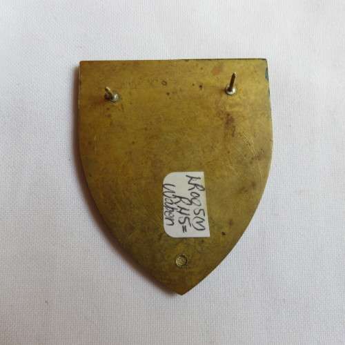 ARMY GYMNASIUM GOLD TYPE FLASH- 2 PINS