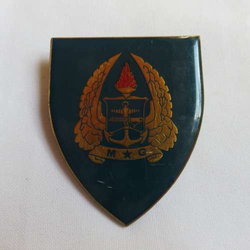 ARMY GYMNASIUM GOLD TYPE FLASH- 2 PINS