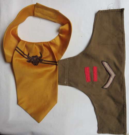 116 BATTALION RANK & CRAVAT