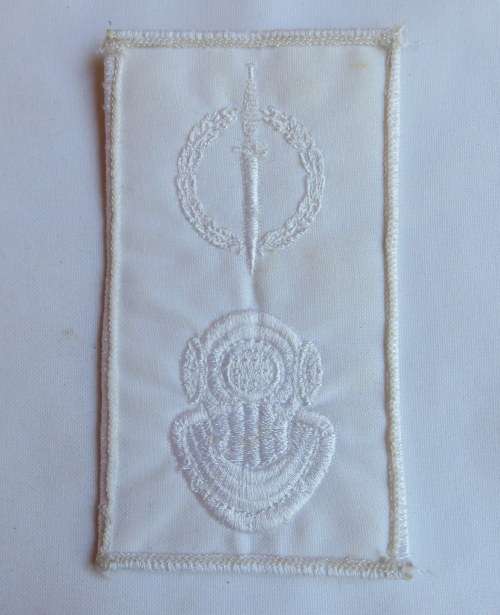 UNKNOWN RECCE PATCH