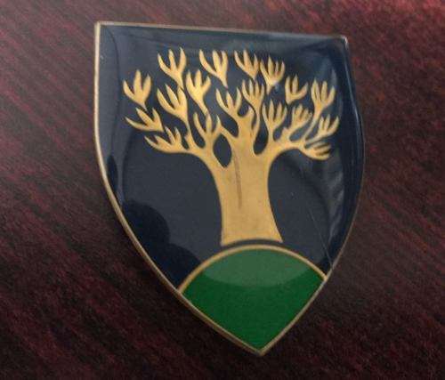KEETMANSHOOP COMMANDO,AREA FORCE,FULL SIZE FLASH- 3 PINS