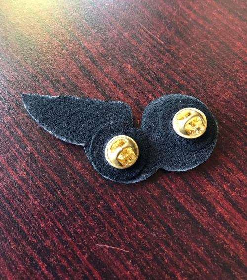 FLIGHT ENGINEER TUPPER WING- 2 PINS
