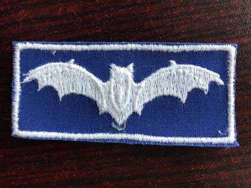 JUNIOR RECCE PATCH WORN BY AIR FORCE PERSONNEL FOR COMPLETING OF THE ESCAPE & EVASION COURSE CONDUCT
