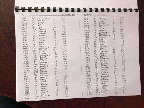 RHODSESIA SELOUS SCOUTS REGIMENT ROLL OF HONOUR-KILLED IN ACTION& SELOUS SCOUTS REGT. WINGS NOMINAL