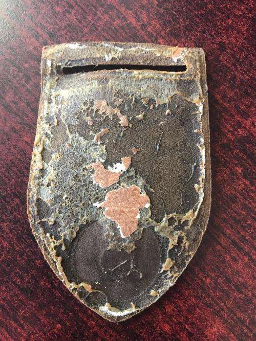 81 ARMOURED BRIGADE TUPPER FLASH