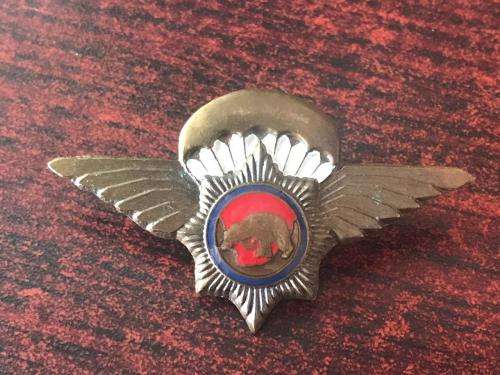 POLICE VLAKPLAAS UNIT MATT GOLD PARA WING- 2 PINS