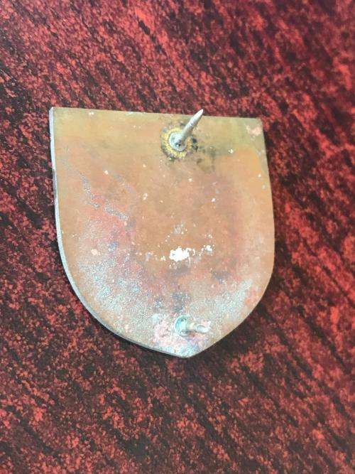 OLD SA RAILWAY POLICE REGIONAL TASK FORCE POCKET SIZE FLASH- 2 PINS