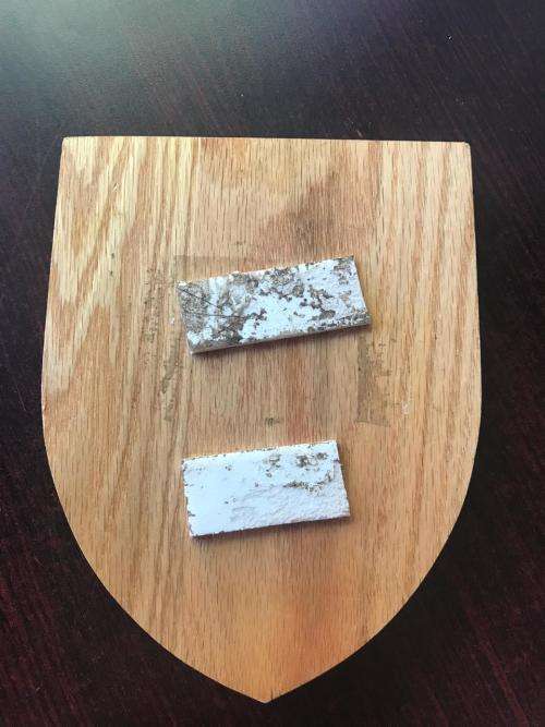 RECCE/SPECIAL FORCES SCHOOL PLAQUE