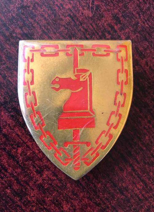 ARMY BATTLE SCHOOL FLASH- 2 PINS