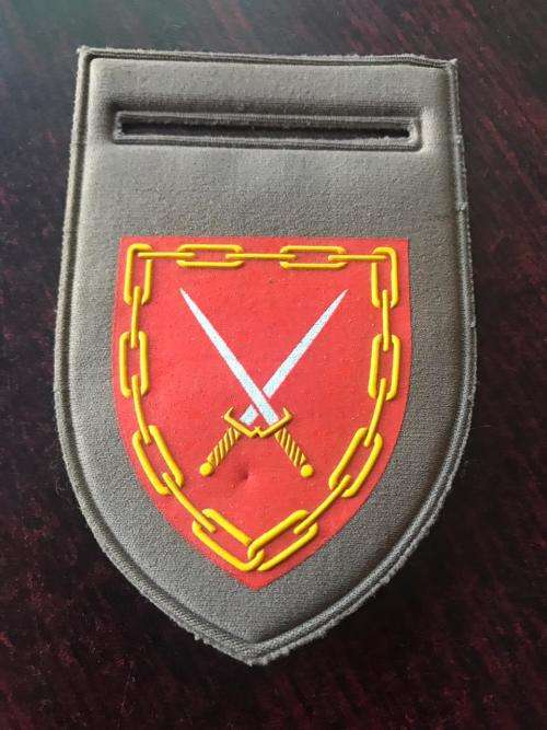 SA INFANTRY LOG TUPPER FLASH- ONE PIN