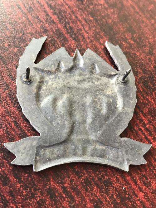 AMATOLA COMMANDO GREY METAL CAP BADGE- 2 PINS