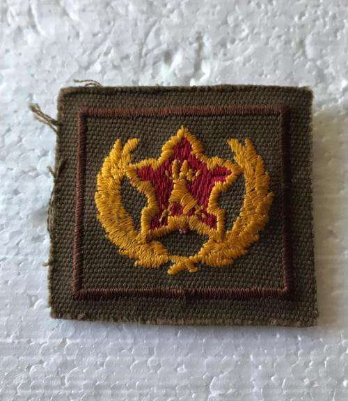SA ARMY 5 YEARS VOLUNTARY SERVICE BADGE- EMBROIDERED ON PLASTIC BACKING WITH 2 PINS