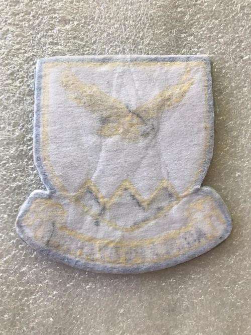 15 SQUADRON PATCH-WORN 1970'S TO MID 1990'S ON RIGHT UPPER ARM