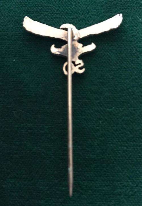 SAAF 50 YEARS PIN