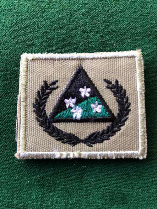 SPECIAL FORCES INSTRUCTORS PATCH FOR TACTICAL RECCE COURSE