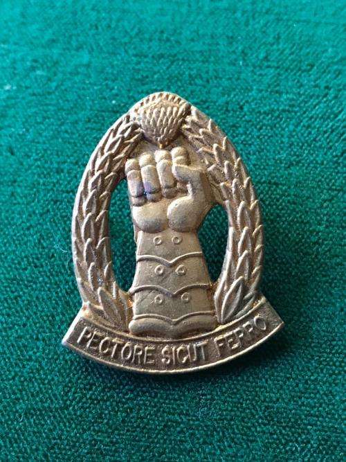 SA ARMOURED CORPS GILT COLLAR BADGE- 2 PINS