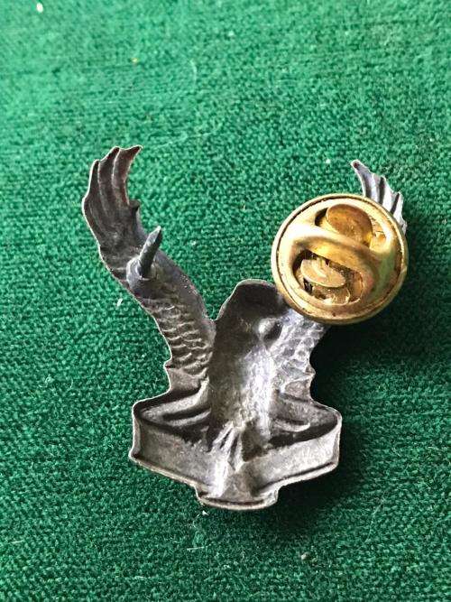 1 SWA SQUADRON COLLAR BADGE- 2 PINS