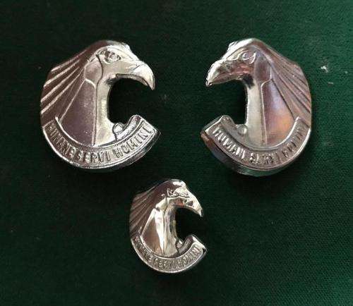 PERSONNEL SERVICES CORPS COLLAR BADGE PAIR-SOLD WITH ONE MESS DRESS-APPROVED 1980-PINS INTACT