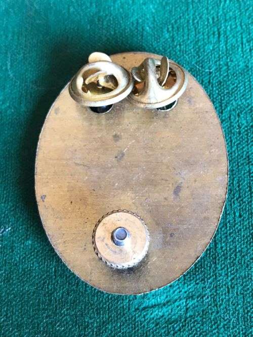 SWA HEAD QUARTERS OXIDISED SILVER,BERET BADGE-LUGS + PINS INTACT