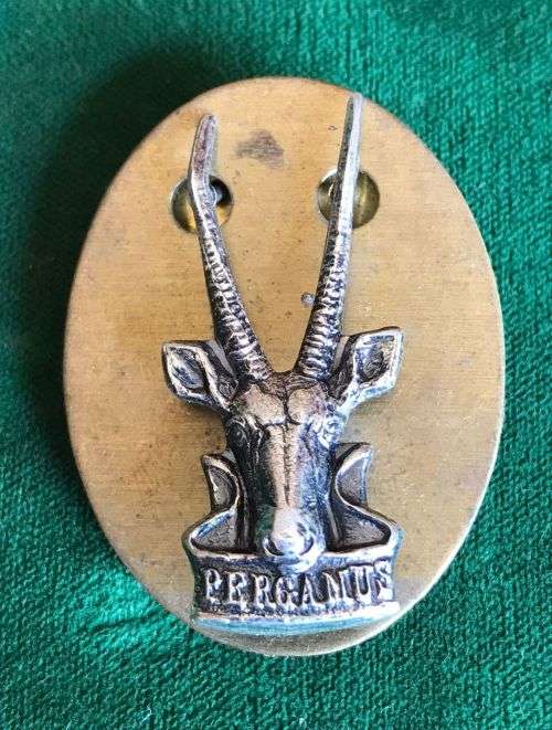 SWA HEAD QUARTERS OXIDISED SILVER,BERET BADGE-LUGS + PINS INTACT