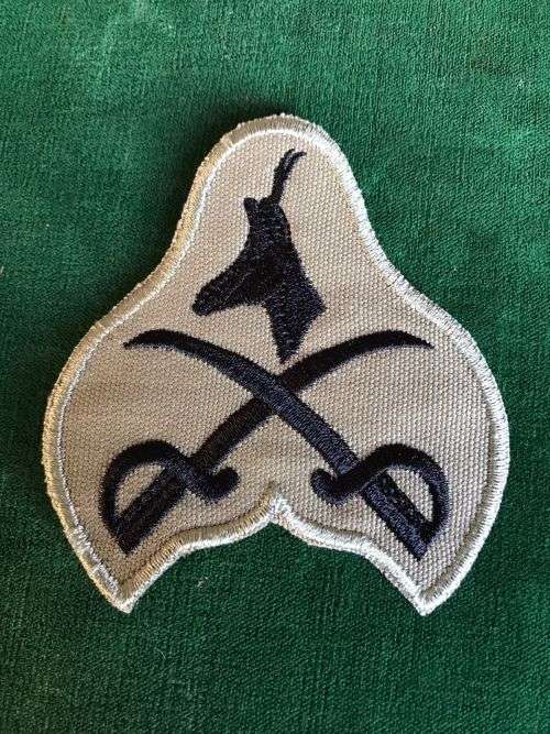 SANDF ADVANCED PHYSICAL INSTRUCTOR CLOTH PATCH