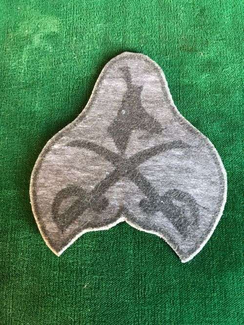 SANDF ADVANCED PHYSICAL INSTRUCTOR CLOTH PATCH