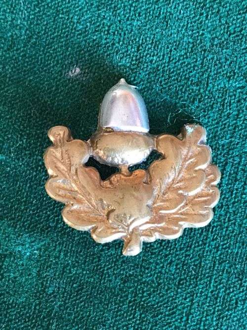 REGIMENT UNIVERSITY STELLENBOSCH COLLAR BADGE- WORN POST 1964