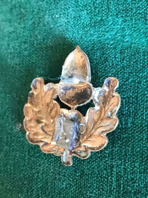 REGIMENT UNIVERSITY STELLENBOSCH COLLAR BADGE- WORN POST 1964