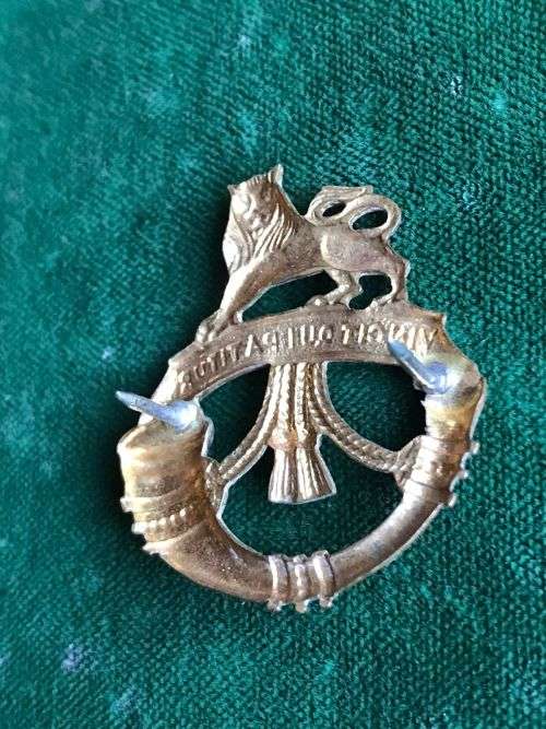 RAND LIGHT INF. , GILDING METAL COLLAR BADGE- WORN 1968-72 -2 PINS