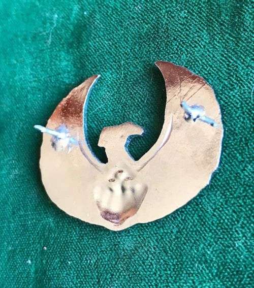 SANDF CHROME RANK BADGE- 2 PINS