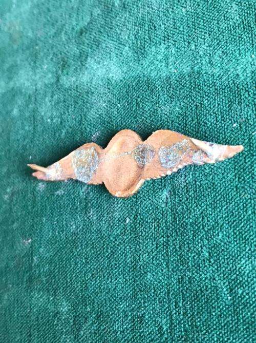 SAAF PILOTS WING MESS DRESS 1960-1990`S- 2 PINS