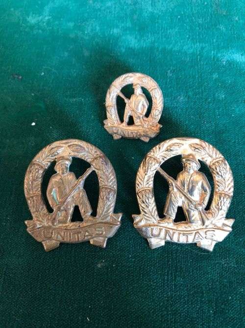 COMMANDOS BRASS COLLARS AND ONE MESS DRESS COLLAR- WORN 1963-1970`S-PINS COMPLETE