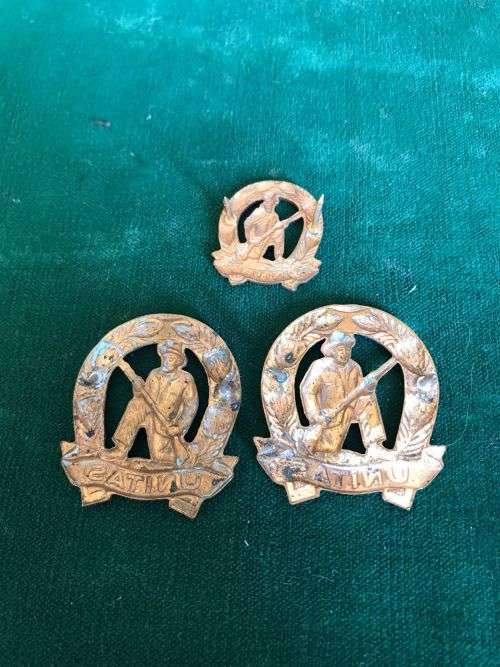 COMMANDOS BRASS COLLARS AND ONE MESS DRESS COLLAR- WORN 1963-1970`S-PINS COMPLETE