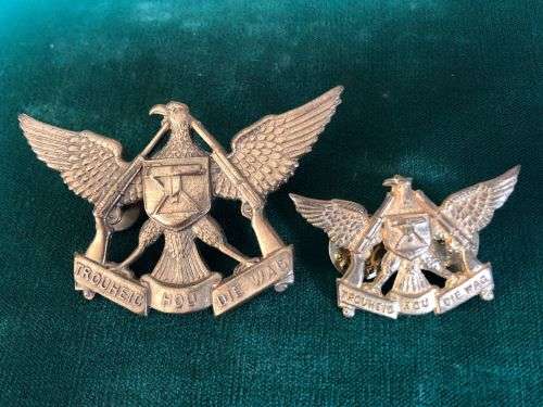 REGT. DE WET GILDING METAL CAP AND COLLAR-WORN FROM 1967-LUGS + PINS INTACT