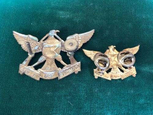 REGT. DE WET GILDING METAL CAP AND COLLAR-WORN FROM 1967-LUGS + PINS INTACT