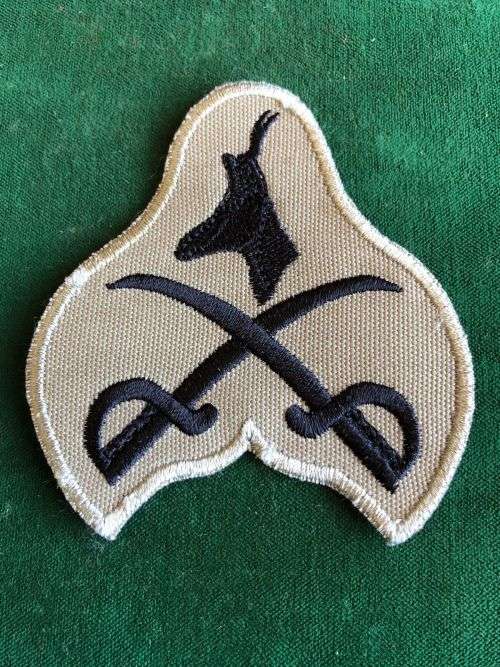 PHYSICAL TRAINING INSTRUCTORS BREAST BADGE