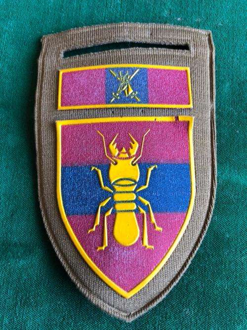 1 CONSTRUCTION REGT. WITH DIRECTORATE ENGINEERS COMMAND BAR- TUPPER FLASH- ONE PIN